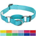 thumbnail image 1 of Blueberry Pet Adjustable Dog Martingale Collar Made for Last, Medium Turquoise, Small, Neck 12"-16", 1 of 5