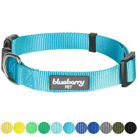 Blueberry Pet Classic Nylon Adjustable Dog Collar Made for Last, Medium Turquoise, Large, Neck 18"-26"