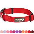 Blueberry Pet Classic Nylon Adjustable Dog Collar Made for Last, Rouge