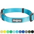 thumbnail image 1 of Blueberry Pet Classic Nylon Dog Collar, Turquoise, Medium, 1 of 5