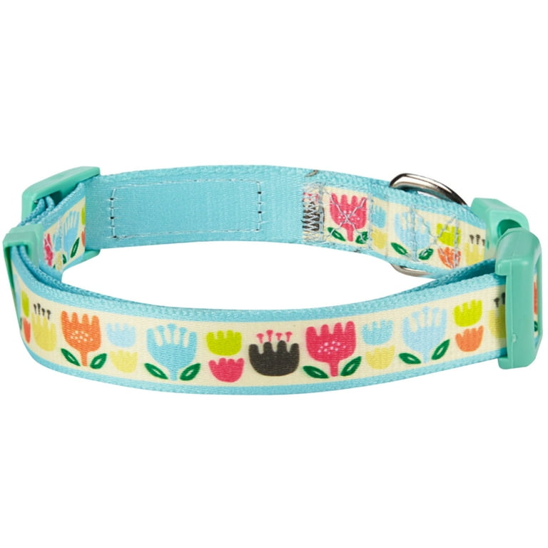 Designer inspired dog collar hotsell