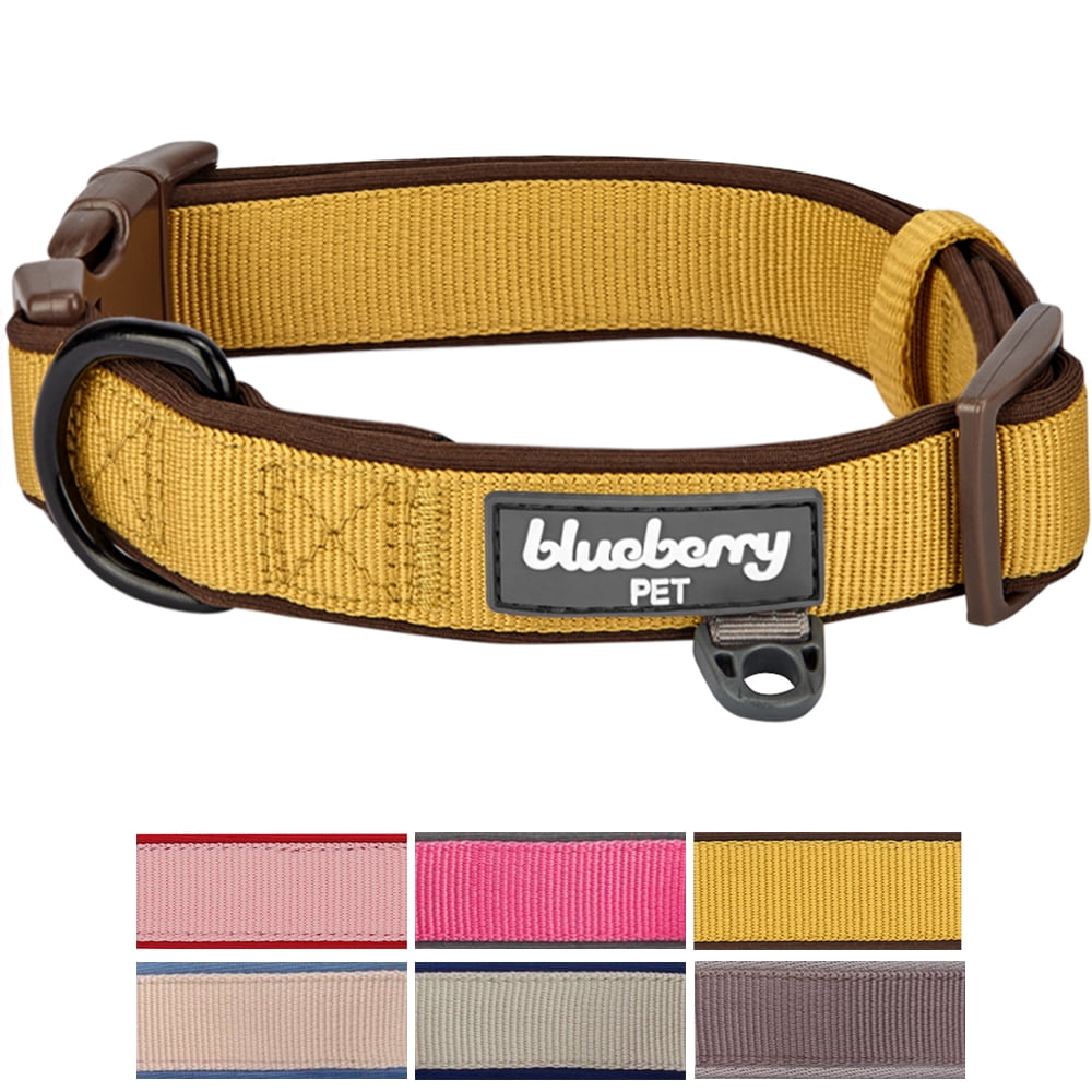 Blueberry pet dog soft discount