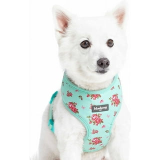 Blueberry Pet Dog Collars Leashes and Harnesses in Dogs Blue Walmart