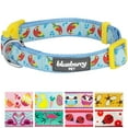 thumbnail image 1 of Blueberry Pet Statement Funny Parrot Designer Adjustable Dog Collar, Small, Neck 12"-16", 1 of 5