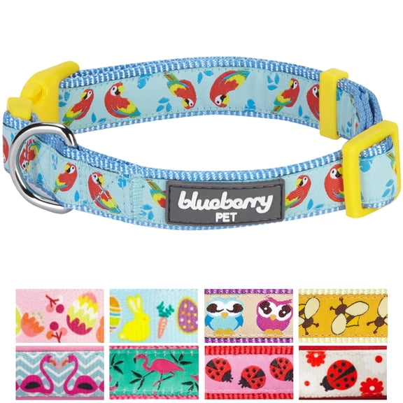 Blueberry Pet Statement Funny Parrot Designer Adjustable Dog Collar, Small, Neck 12"-16"
