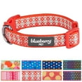 thumbnail image 1 of Blueberry Pet Sweet Fantasy Vermilion Orange Wildflower Dog Collar, Small, Neck 12"-16", 1 of 5