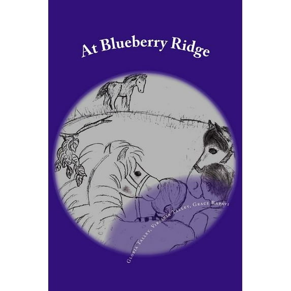 Blueberry Ridge: At Blueberry Ridge (Series #1) (Paperback)