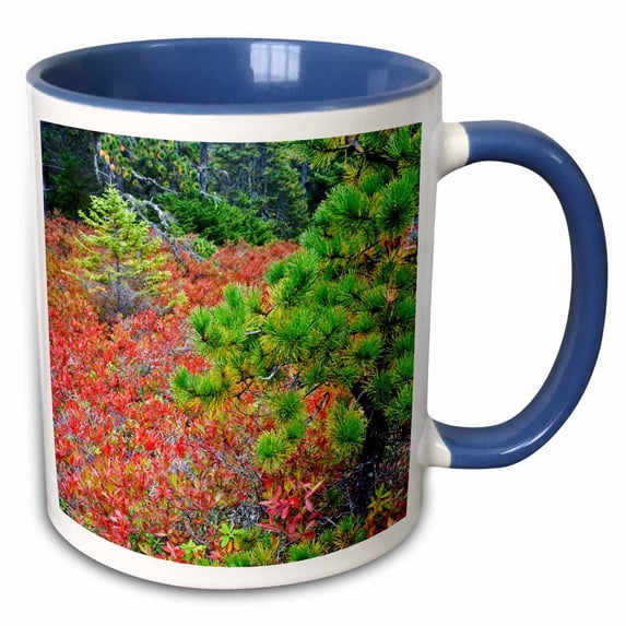 3drose, Blueberry, Spruce Fir, Pitch Pine, Acadia Np, Maine - Us20 Aje0048 - Adam Jones, 15oz Two-tone Blue Mug