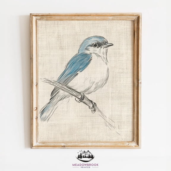 Bluebird Art Sketch Rustic Unframed Paper Print