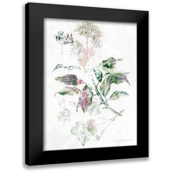 Bluebird Barn 12x14 Black Modern Framed Museum Art Print Titled - Boho Verbena Botanical