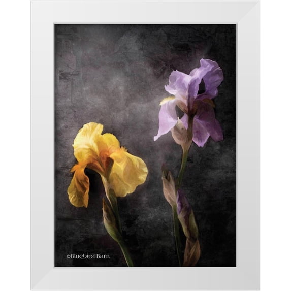 Bluebird Barn 12x14 White Modern Wood Framed Museum Art Print Titled - Contemporize Floral Iris