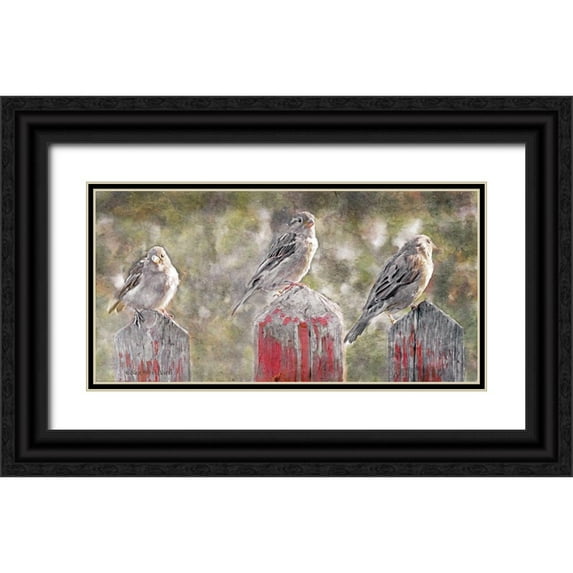 Bluebird Barn 14x9 Black Ornate Wood Framed with Double Matting Museum Art Print Titled - Birds on a Fence