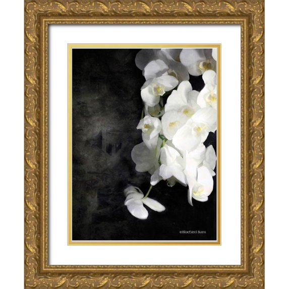 Bluebird Barn 15x18 Gold Ornate Wood Framed with Double Matting Museum Art Print Titled - Contemporary White Orchids