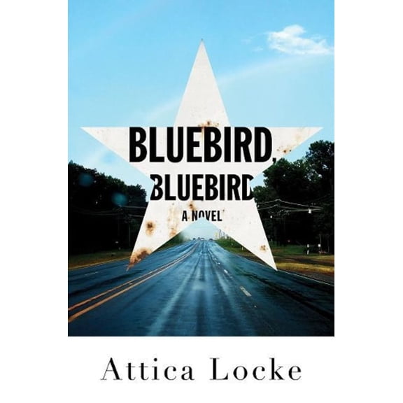 Pre-Owned Bluebird, Bluebird (Hardcover)(Large Print)