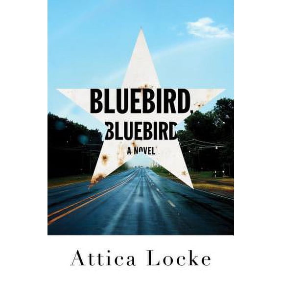 Pre-Owned Bluebird, Bluebird (Hardcover)(Large Print)