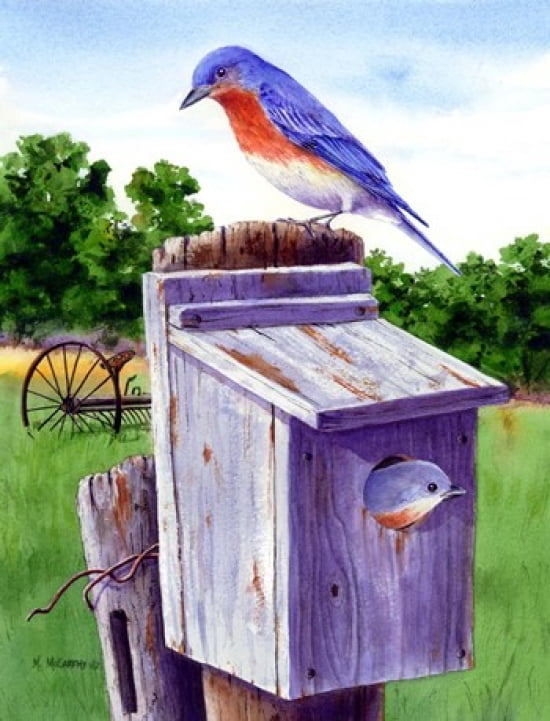 Bluebird Canvas Art - Maureen Mccarthy (19 x 25)