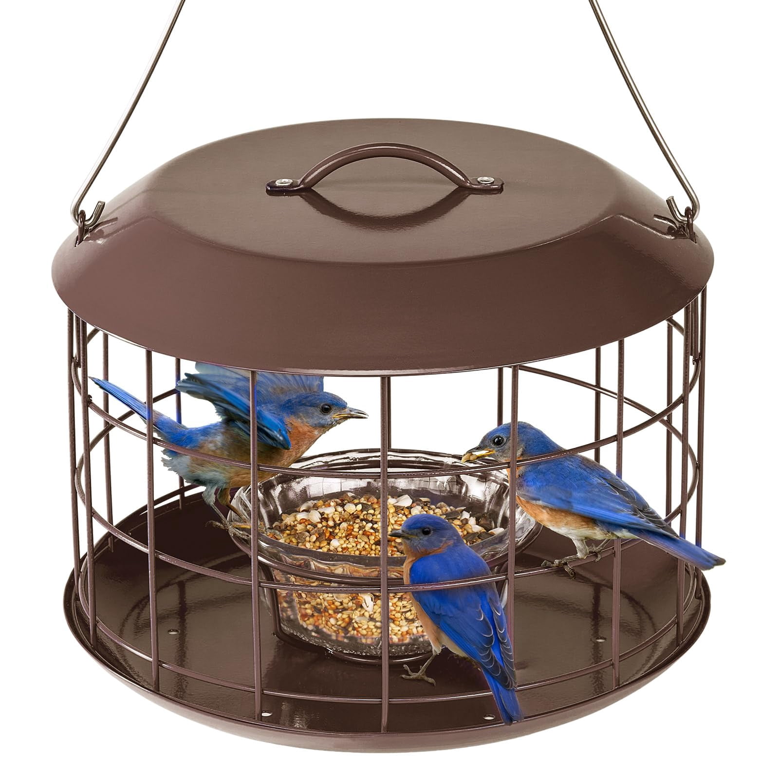 Bluebird Feeders for Outdoors Hanging, All Metal, Cage Mealworm Bird Feeder with Tray, Squirrel Proof & Weatherproof, Easy to Refill & Clean