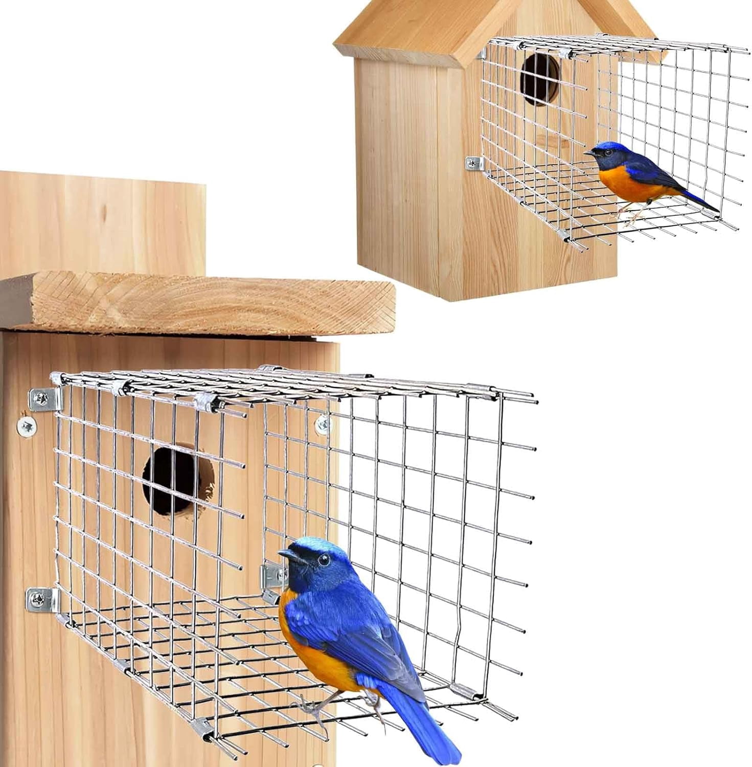 Bluebird House Predator Guards 2 Pcs, Strong Metal Wire Birdhouse ...