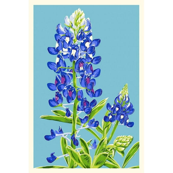 Bluebonnet, Letterpress (12x18 Wall Art Poster, Room Decor)