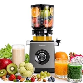 Bluebow Juicer Machines, Cold Press Juicer with 6.5" Extra Large Feed Chute, Slow Masticating Juicer Maker for Whole Vegetables and Fruits, High Juice Yield, Easy to Clean, Grey