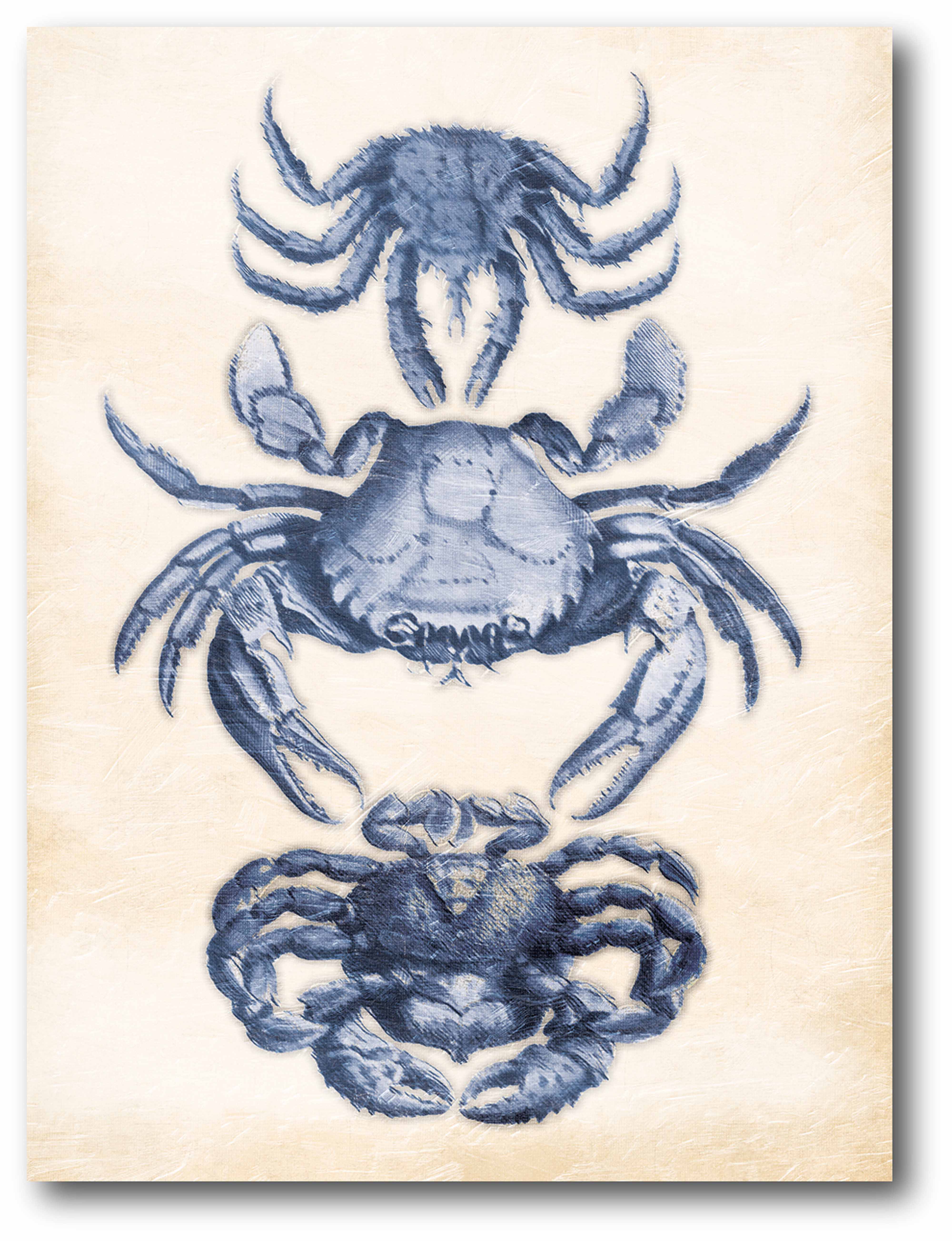 Bluecrab Gallery-Wrapped Canvas Wall Art, 12x18