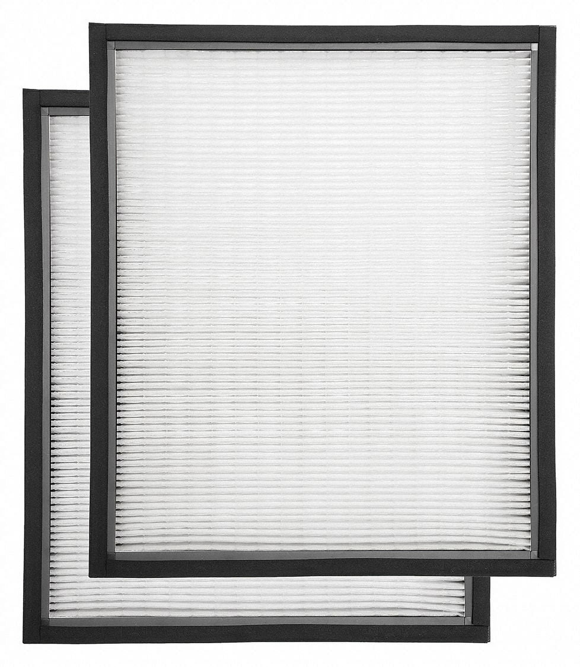 Bluedri Air Scrubber Filter,MERV 17,17x19x2",2PK BAIRASHF