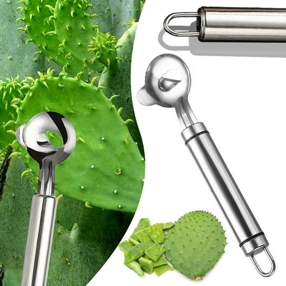 Blueek Cactus Peeler Multifunctional Stainless Steel Peeler Cactus Peeler Spoon Kitchen Tool Easy To Use
