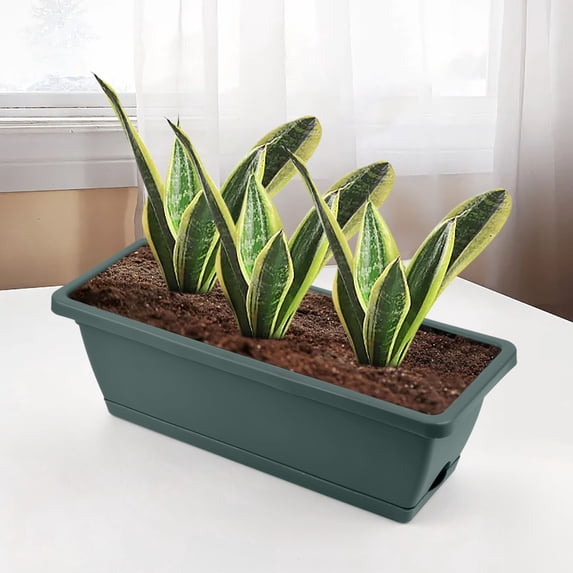 Blueek Durable Plastic Windowsill Planting Box with Drainage Tray, Perfect for Indoor & Outdoor Flower and Vegetable Growing