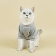 thumbnail image 1 of Blueek Summer Small Dog & Cat Sweater - Cute Pet Clothes, Soft Cotton Puppy Top, Breathable T-Shirt Apparel(Gray), 1 of 5