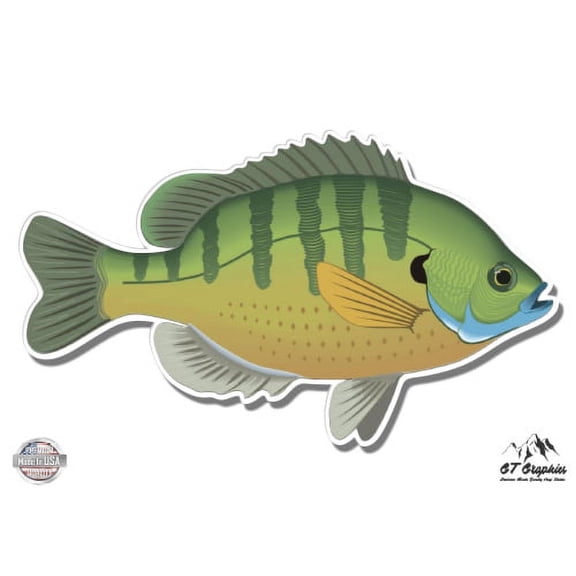 Bluegill - 5" Vinyl Sticker - For Car Laptop I-Pad - Waterproof Decal
