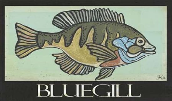 Bluegill Canvas Art - Shanni Welsh (12 x 18)