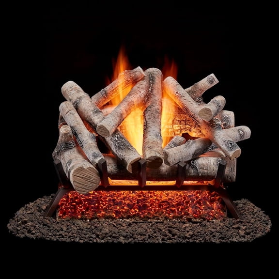 Bluegrass Living Vented Natural Gas Fireplace Log Set With Remote Control Kit - 24 in. Birch Wood, 55,000 BTU - Model# BVL24-2-RO