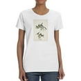 thumbnail image 1 of Bluegrey Flycatcher T-Shirt Women -John James Audubon Designs, Female x-Large, 1 of 4