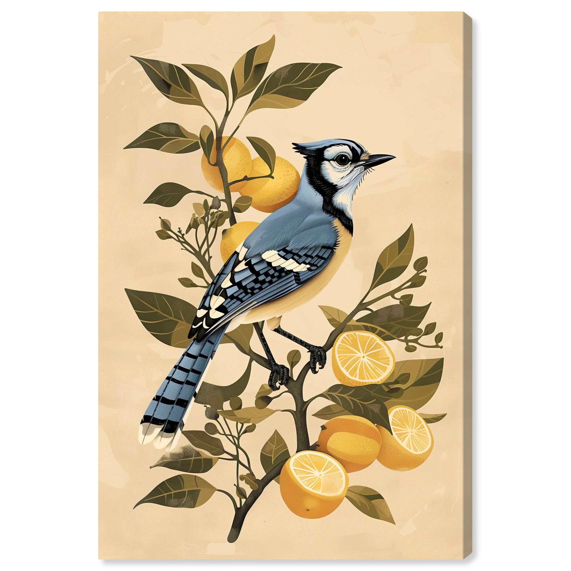 Bluejay on Lemon Tree Canvas Retro Japanese Art Print