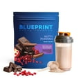 Blueprint Bryan Johnson Longevity Protein HYZ01 Nutty Pudding Protein