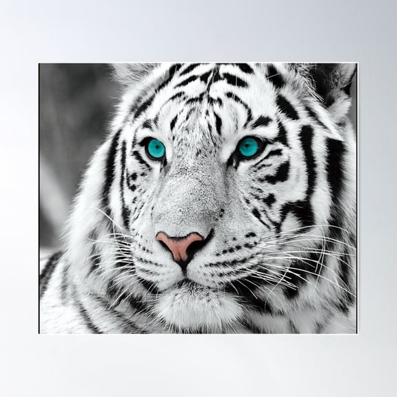 Blues Eyes Poster Wall Art, Modern Wall Decor For Living Room Bedroom, 8x12 UNFRAMED