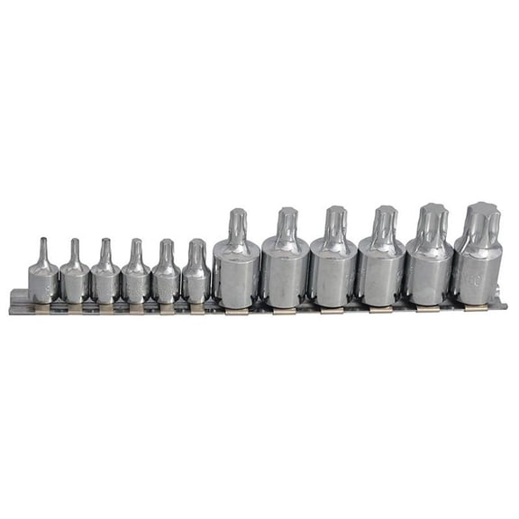 Bluespot Tools Mixed Drive Torx Socket Set, 12 Piece