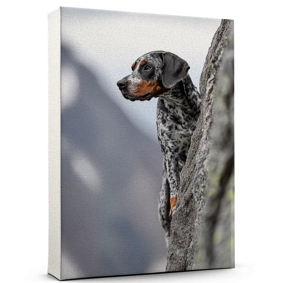 Bluetick Coonhound Dog Canvas Climbing Canvas Funny Bluetick Coonhound Dog Team Player Wall Art, Ideal Gift Climbing , Dog Owner, Kids Room Decor