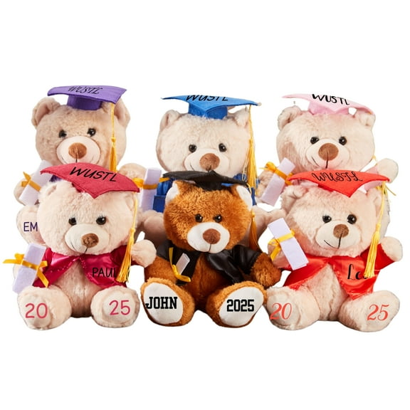 Blueton Custom Graduation Plush Teddy Bear with Name Date, Personalized 2025 Graduation Stuffed Animal for Kids Students, Cute Pre K Kindergarten High School College Graduation Gifts(5.9*5.9*9.4inch)