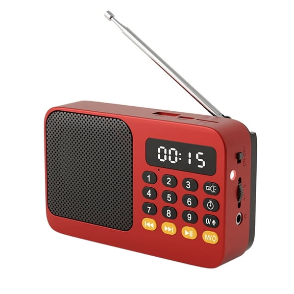 Bluetooth 5.0 FM Radio Portable Speaker with LED Light Support Recording TF Card USB Play Wireless Speaker Radio FM Receiver