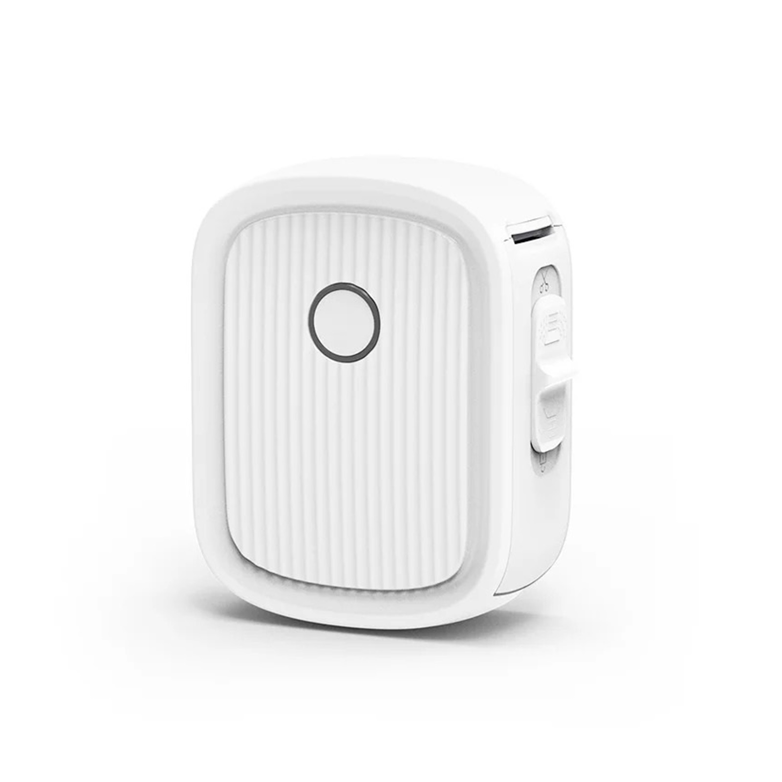 Bluetooth Label Printer Mini Pocket Printer Thermal Label Maker Wireless No Cutter Portable Printer