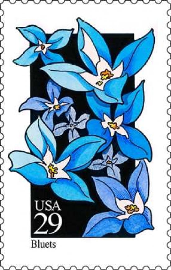 Bluets Canvas Art - US POSTAL SERVICE (12 x 18)