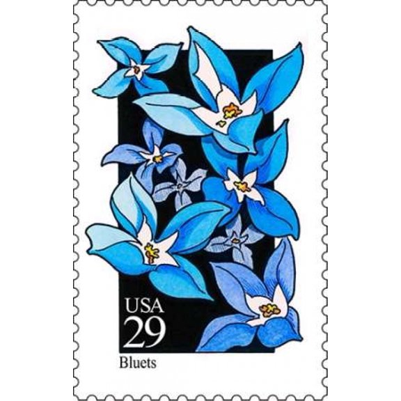 Bluets Canvas Art - US POSTAL SERVICE (24 x 36)