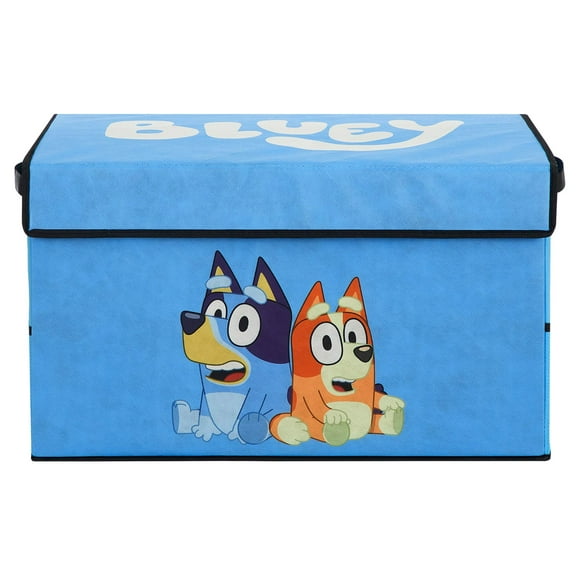 Bluey 22.5" W x 13.5" H Storage Trunk