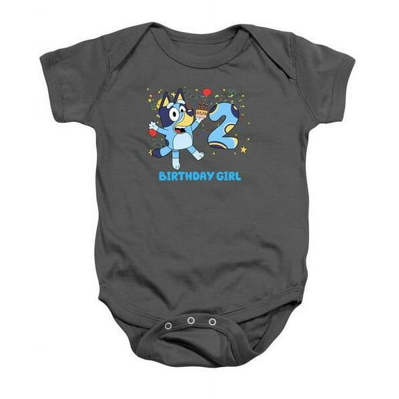 Bluey And Bingo 2 Year Buley Family Baby Onesie Bluey Design, Bluey Birthday Girl, Bluey Birthday Tee Cute Baby Onesie, BABY BODYSUIT LAT 4424