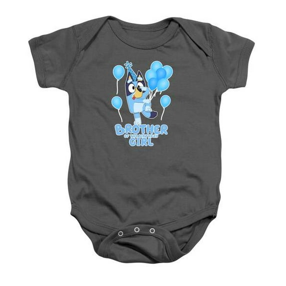Bluey And Bingo Brother Baby Onesie Bluey Family Shirt, Bingo T-Shirt, Bluey Friends Tees Cute Baby Onesie, BABY BODYSUIT LAT 4424