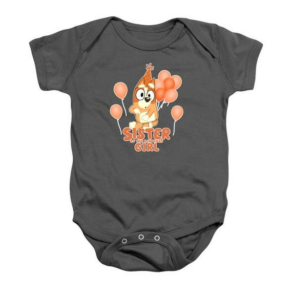 Bluey And Bingo Sister Girl Baby Onesie Bluey Friends Tees, Bluey Oh Biscuits, Trending Bluey Tee Cute Baby Onesie, BABY BODYSUIT LAT 4424