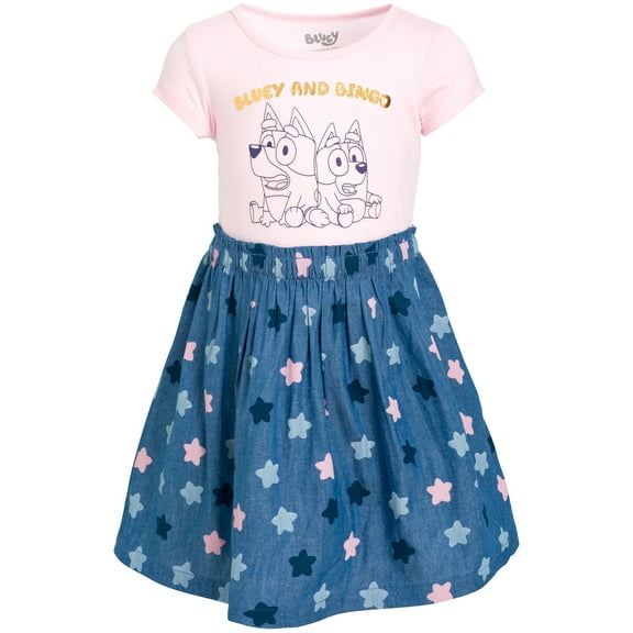 Bluey Bingo Little Girls Dress Toddler to Little Kid