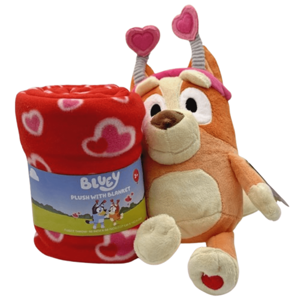 Bluey Bingo Valentines Themed Pillow and Plush Blanket set