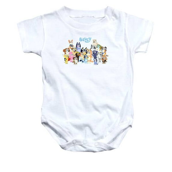 Bluey Family Baby Onesie Bluey Cartoon Shirt, Bluey Birthday Shirt, Bingo T-Shirt Cute Baby Onesie, BABY BODYSUIT LAT 4424